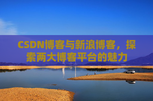 CSDN博客与新浪博客，探索两大博客平台的魅力